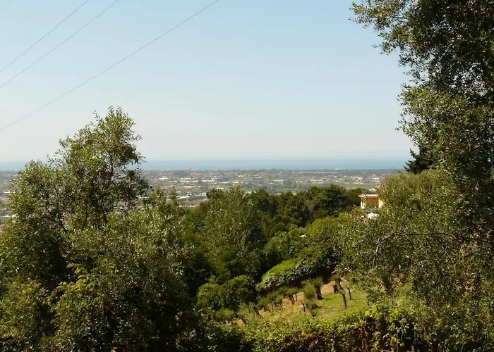 La Grazia Della Versilia